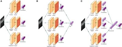 FN-OCT: Disease Detection Algorithm for Retinal Optical Coherence Tomography Based on a Fusion Network